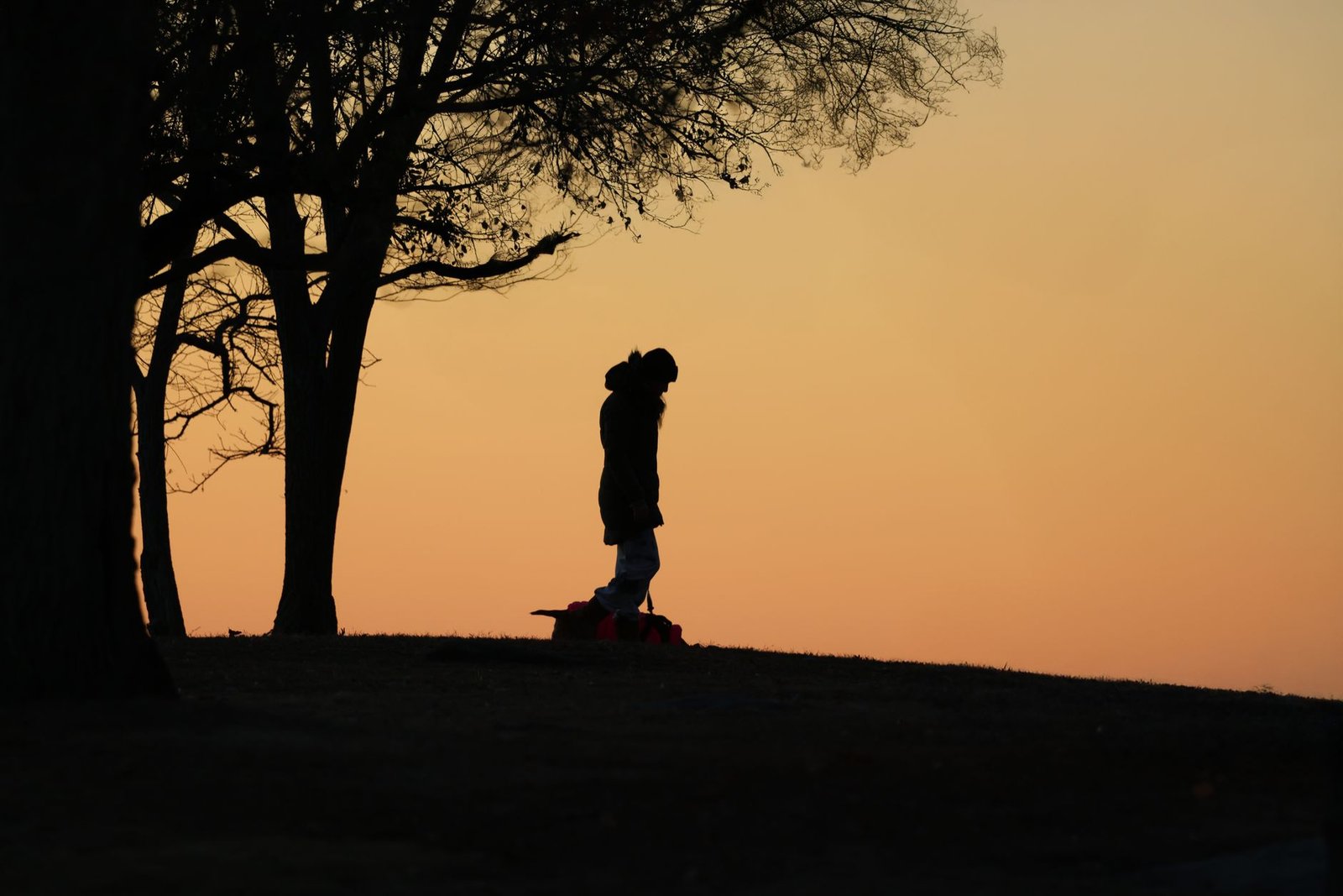 Salir de la apatía emocional: persona caminando al amanecer